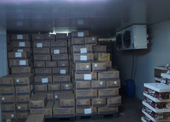 SONY DSC