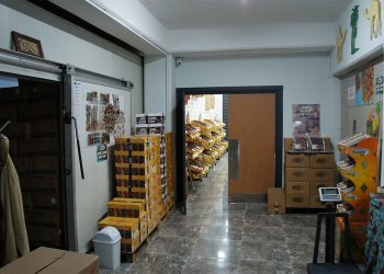 SONY DSC