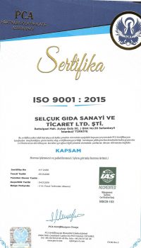 iso-9001
