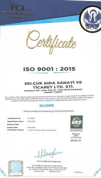 iso-9001ing